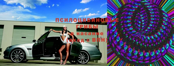 молекула духа Алексин