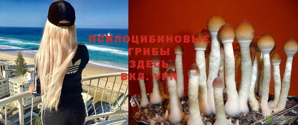 молекула духа Алексин