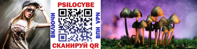 закладка  Анжеро-Судженск  Галлюциногенные грибы Psilocybe 