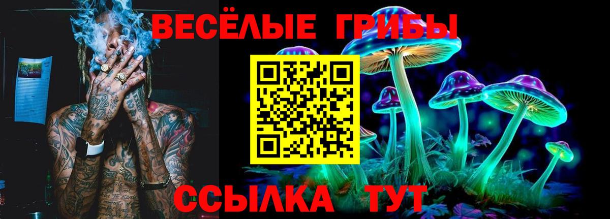 Галлюциногенные грибы прущие грибы Анжеро-Судженск